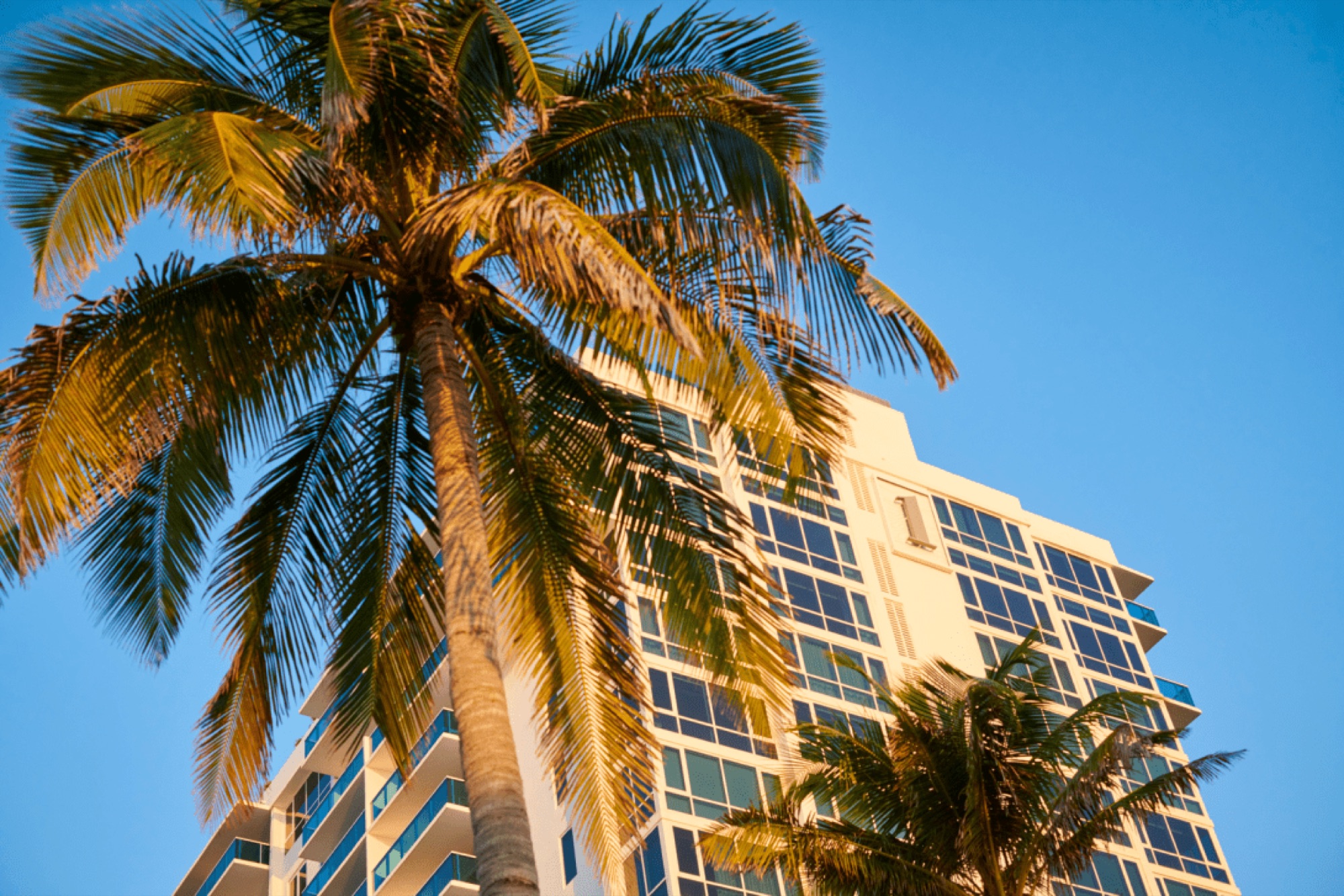 Le centre de South Beach, au bord de l’océan